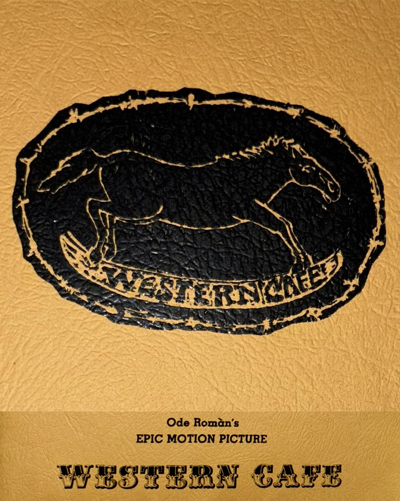 book cover-1